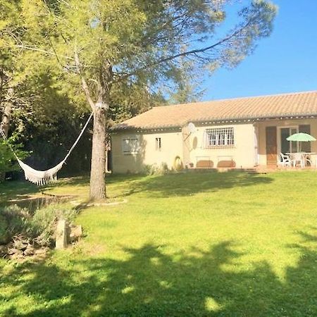 Villa 110M2, 7 Pers, Jacuzzi , 3 Chambres, Terrain Clos Et Arbore 2500M2 Trèbes Zewnętrze zdjęcie