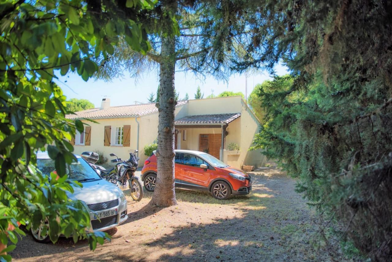Villa 110M2, 7 Pers, Jacuzzi , 3 Chambres, Terrain Clos Et Arbore 2500M2 Trèbes Zewnętrze zdjęcie